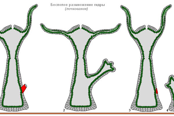 Кракен ru
