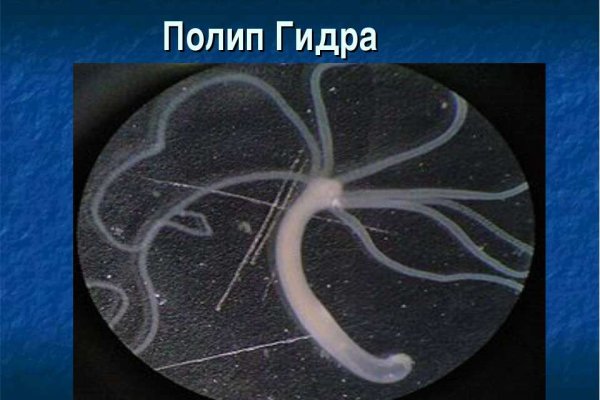 Кракен площадка даркнет