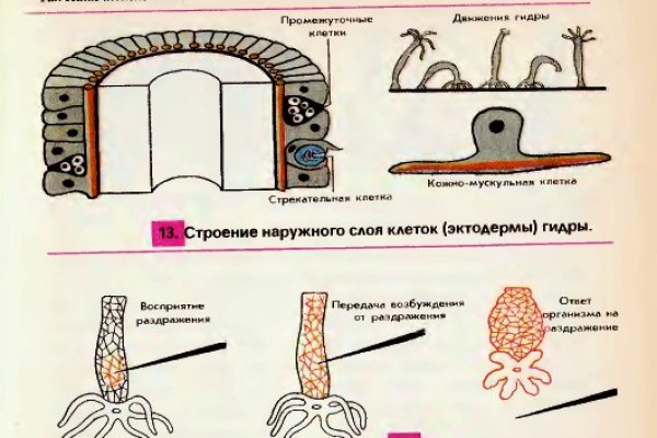 Кракен сайт даркнет зеркало